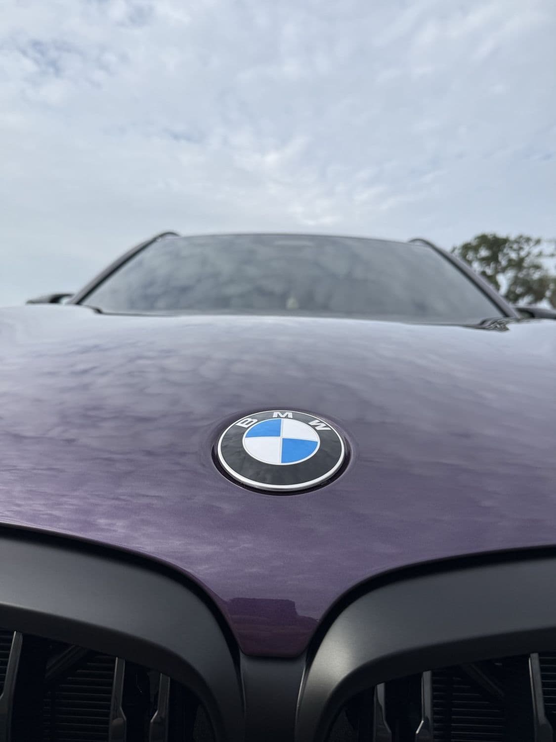 BMW X5 hood with ceramic coating over paint protection film