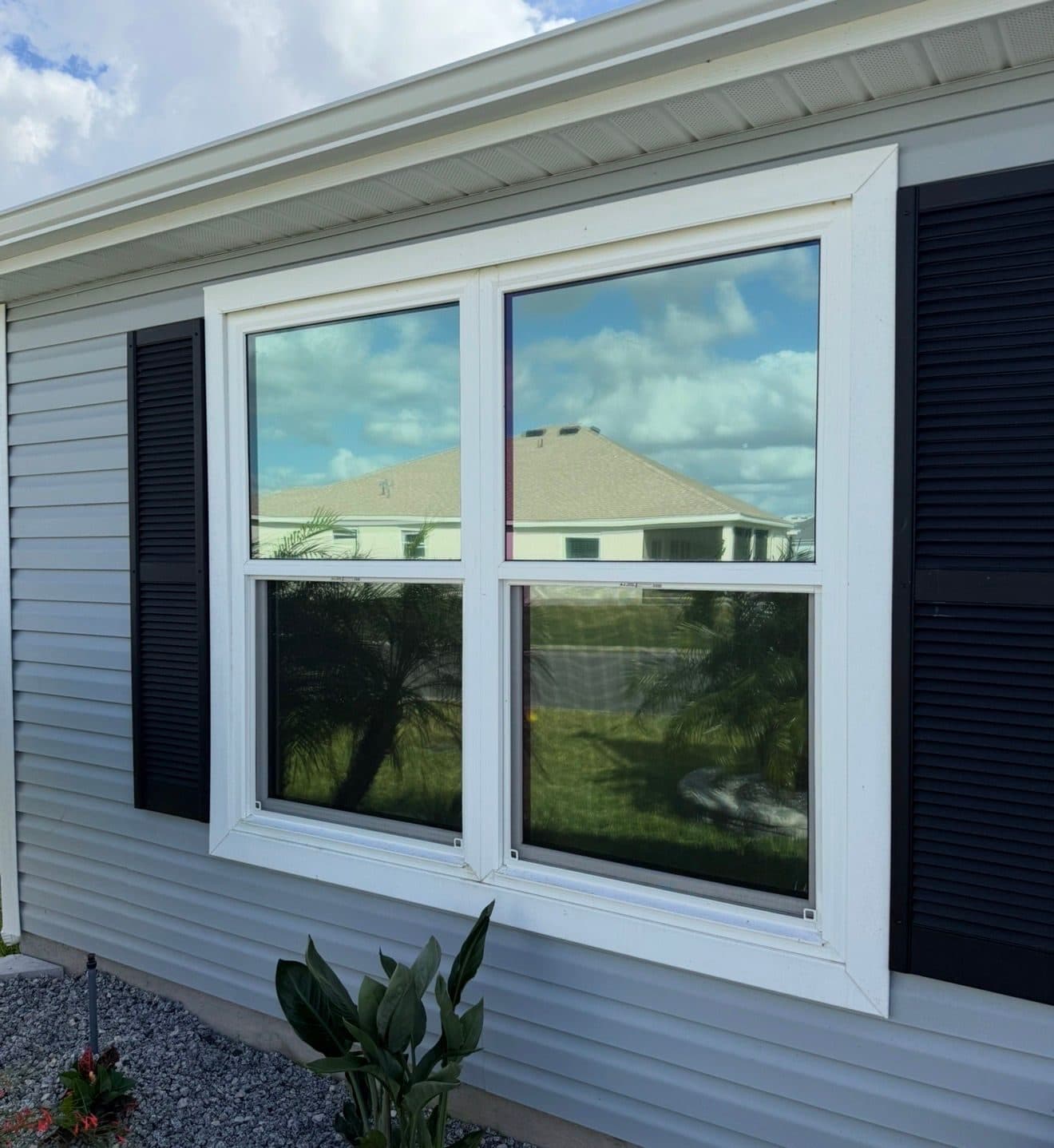 Home windows with film installed