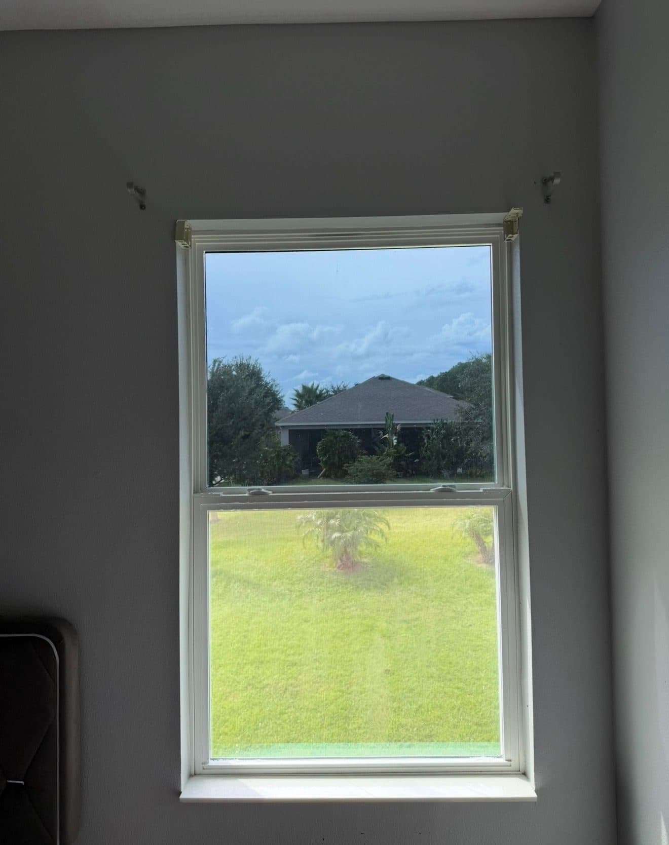 Home windows with film installed, looking out at the yard